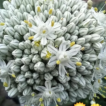 Сasa de vacaciones 2-bed House - Garden Parking Pets