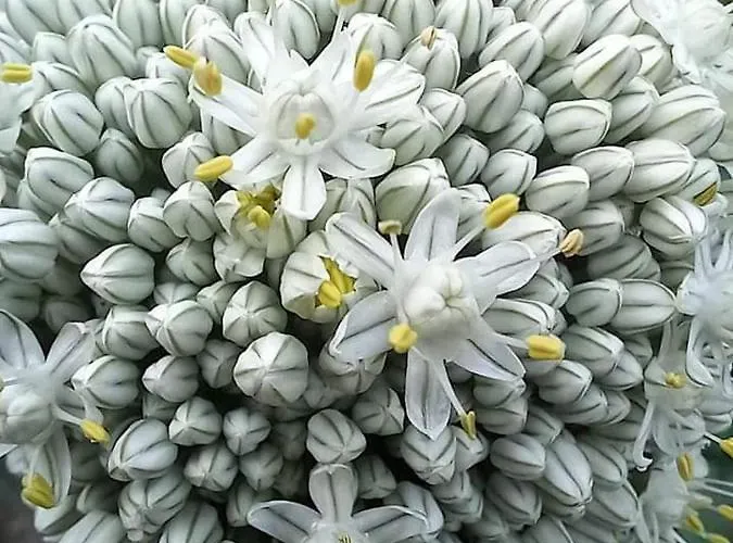 Dom wakacyjny 2-bed House - Garden Parking Pets